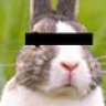 Cotton Tail