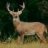 hunter.d