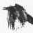 raven