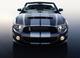 shelby