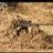 SniperOnTheHill