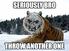 JungleCat7