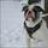 blair12