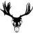 BackCountrySports