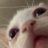 Overwatch3985