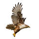 Hawkman