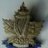 Canadian Militaria