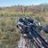Daryl308