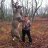 deerpoop