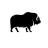muskox