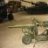 tinygnat219
