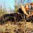 wild game processing