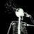 XRAYGUY