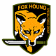 Gray Fox