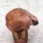 beaverfur