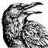 Blackbird