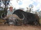 Dugga Hunter