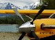 kodiakjack