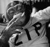zippy_the_wonder_chimp