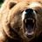 Grizzlyman