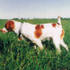 hunter5425