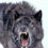 Logan_Lamothe