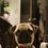 Gentle Ben