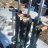 Manitobabloodfart