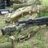 rich308