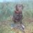 waterfowler1