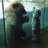 torontoipad