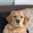novascotiahunter