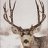 Nosler06