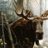 Moose Stalker