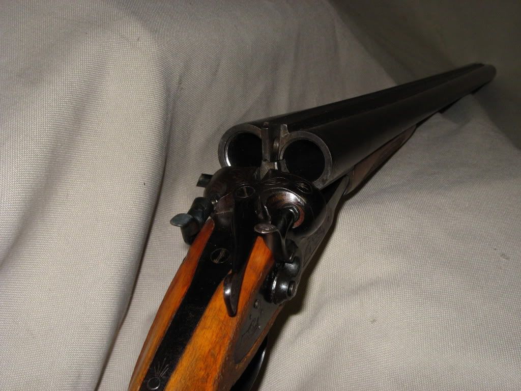 toz66-3.jpg