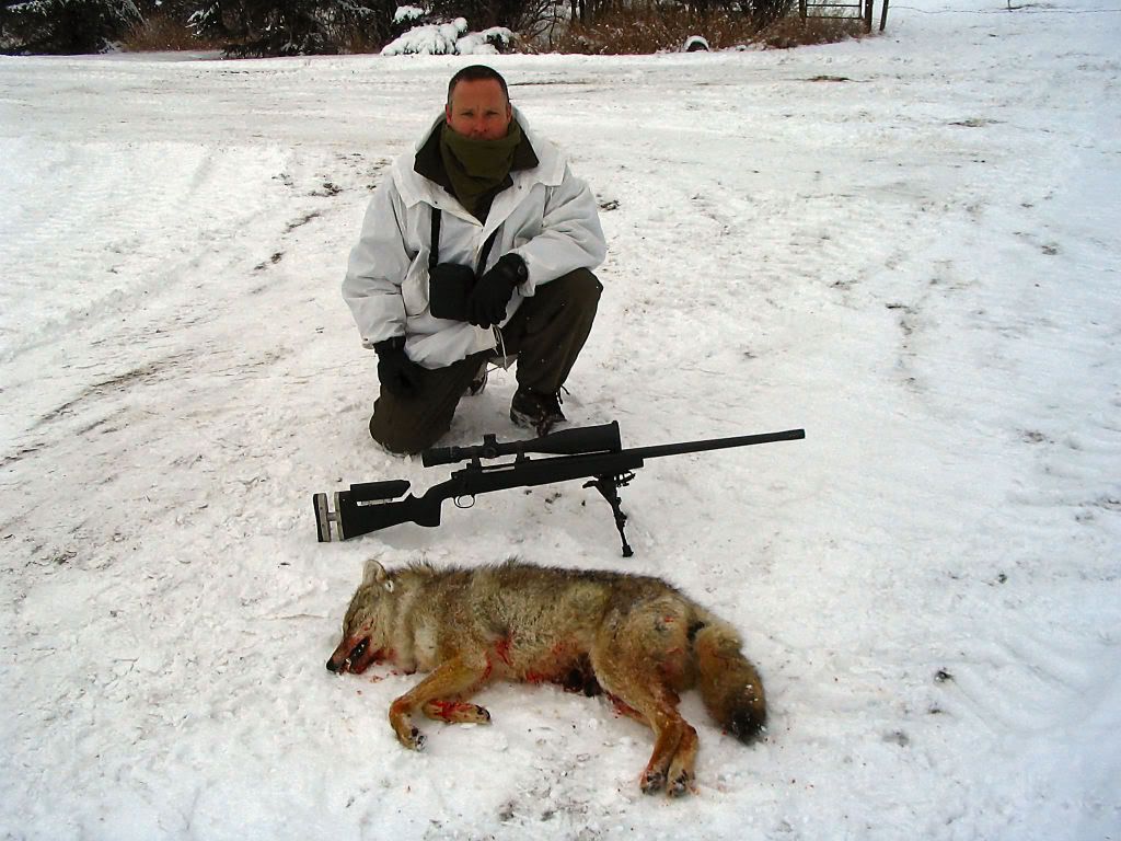 COYOTEw-2.jpg