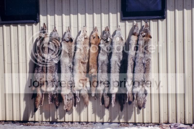 Untitled-Scanned-09.jpg