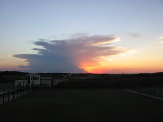 IMG_1316.jpg