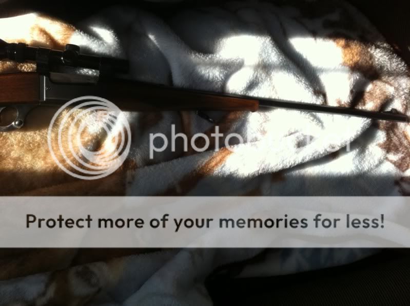 2893630e.jpg