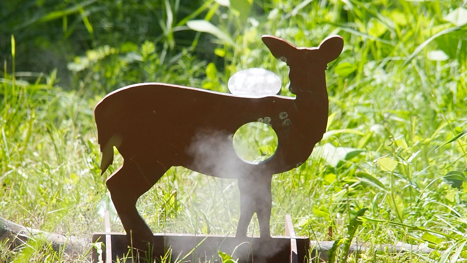 whitetail_doe_b.jpg