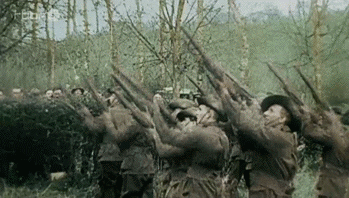tumblr_nas03mQ6621rmby1bo5_400.gif