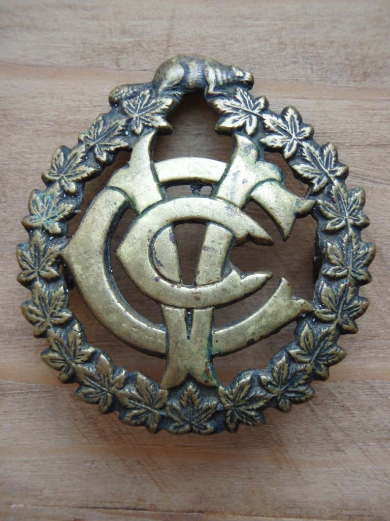 11-2a-Veterinary%20Corps-Bill%20Robinson1_1.jpg