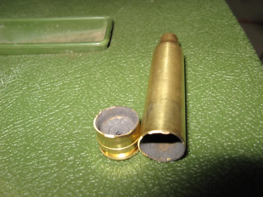Shells008.jpg