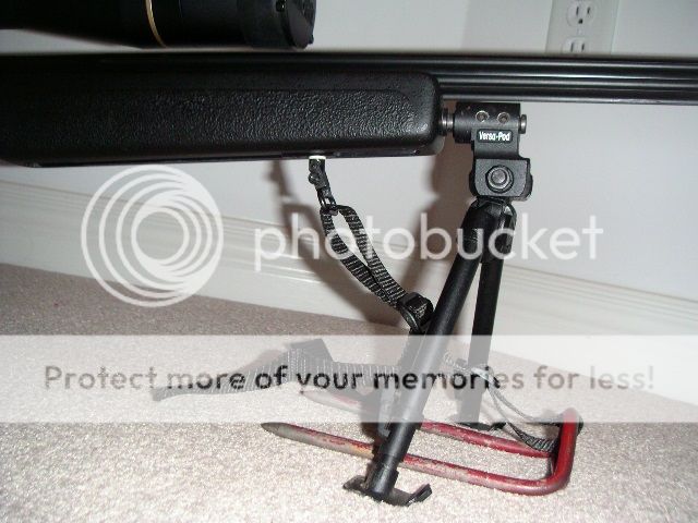 PeggedBipod.jpg