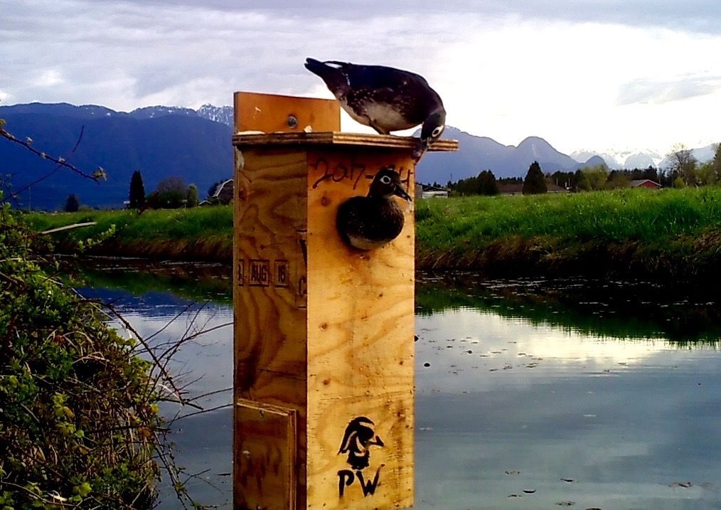 image_zpsnrgbbjrc.jpeg~original