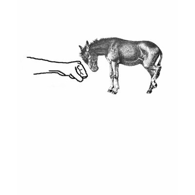 donkey_punch_tshirt-p235082609822896950o61u_400.jpg