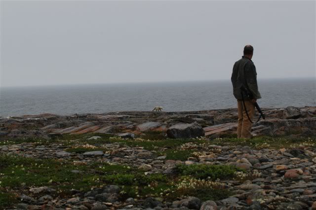 DSC_0226-1.jpg