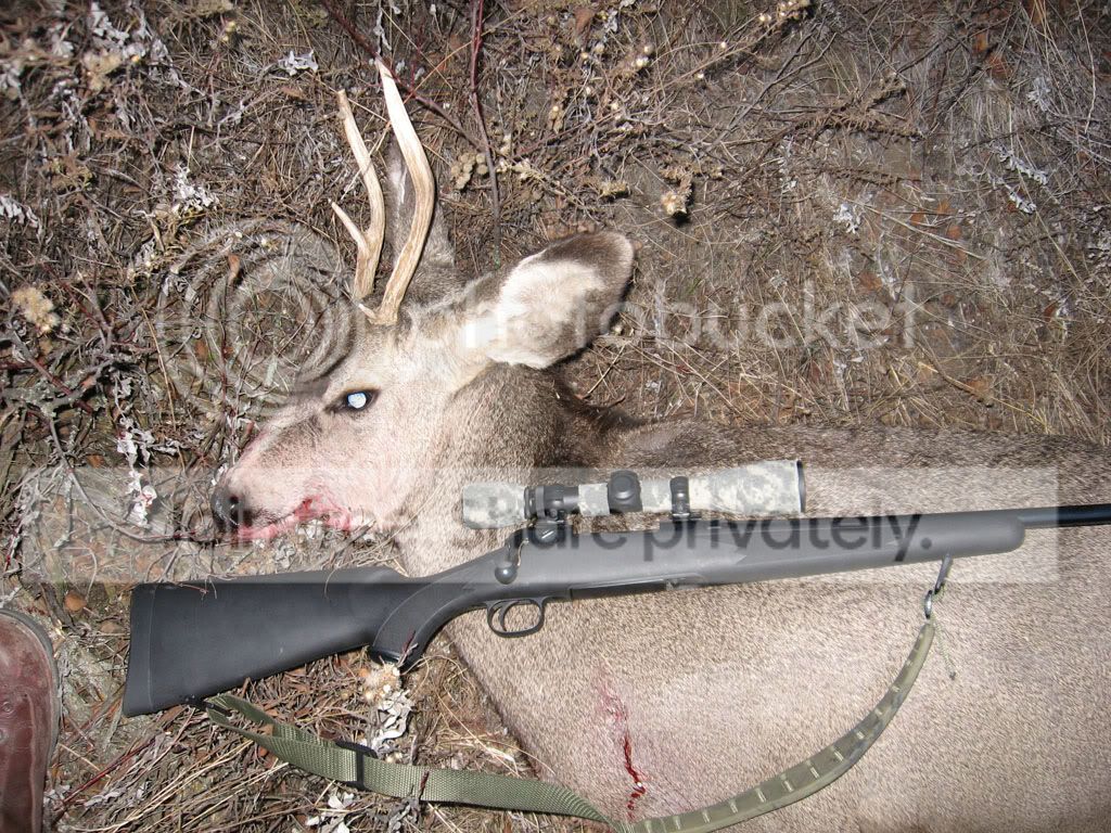 2010muledeerhunting011.jpg