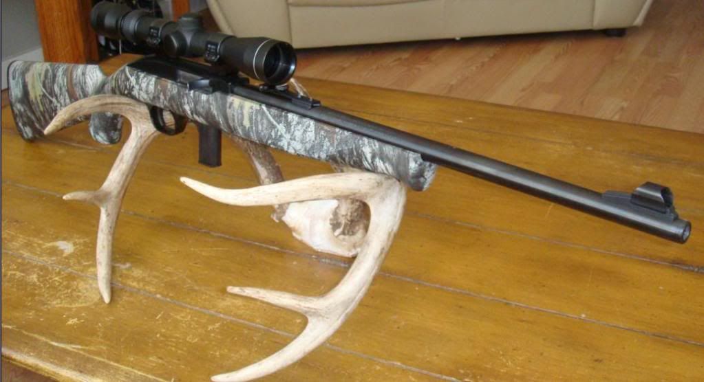 MossbergPlinkster.jpg