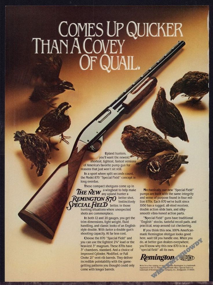 739e2c2a8c9b45a2f4aede0f01e36d28--quail-hunting-hunting-guns.jpg